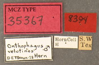 Media type: image;   Entomology 35367 Aspect: labels